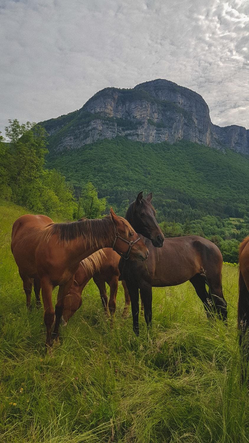 Natural landscape, Hiking, Mountain view