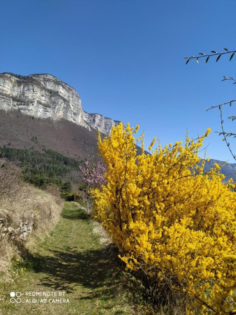 Natural landscape, Mountain view, Family