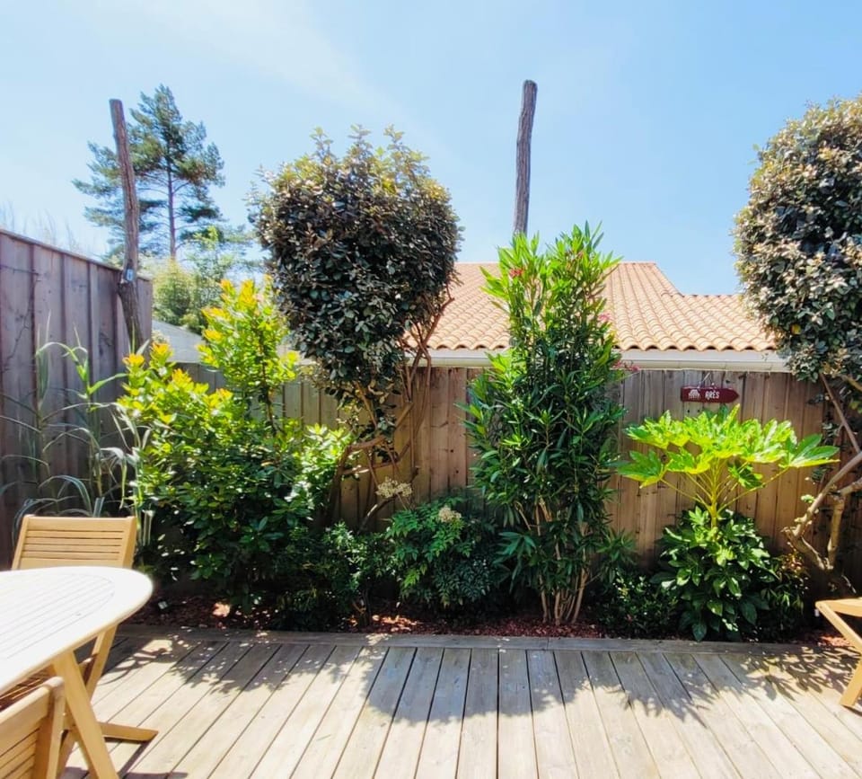 Garden, Garden view