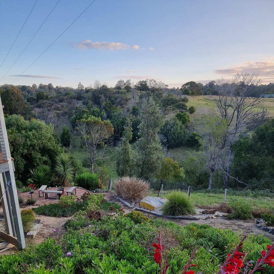Natural landscape, Garden, Garden view