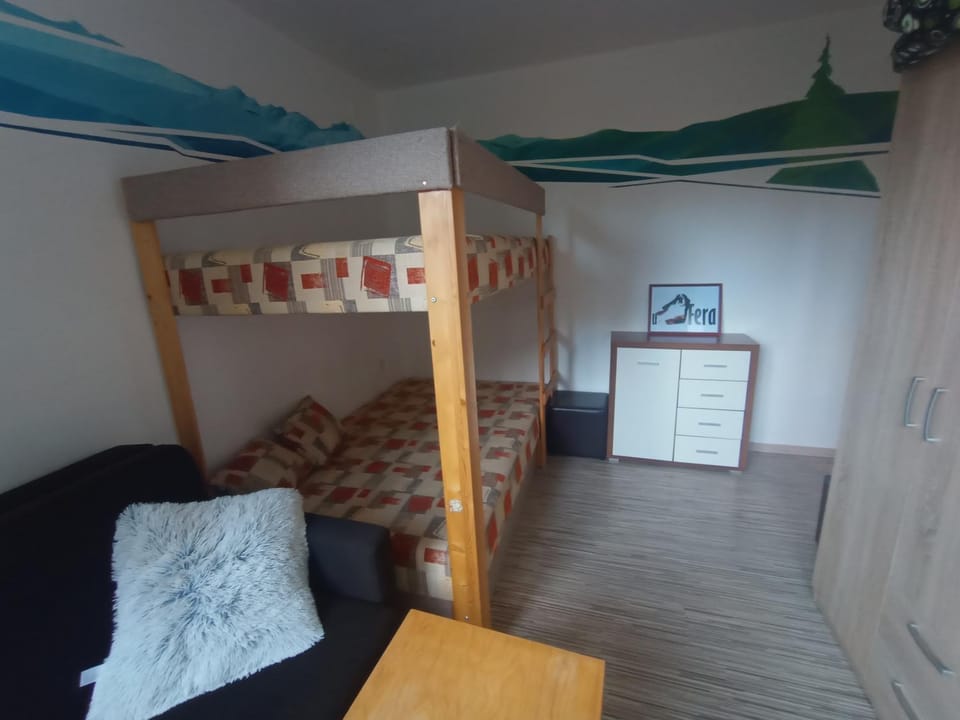 Bed, TV and multimedia, Living room, Photo of the whole room, Seating area, Bedroom, bunk bed