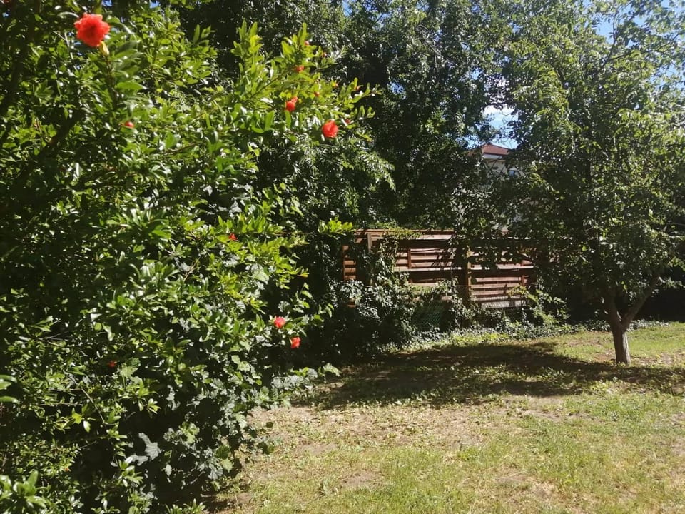 Garden, Garden