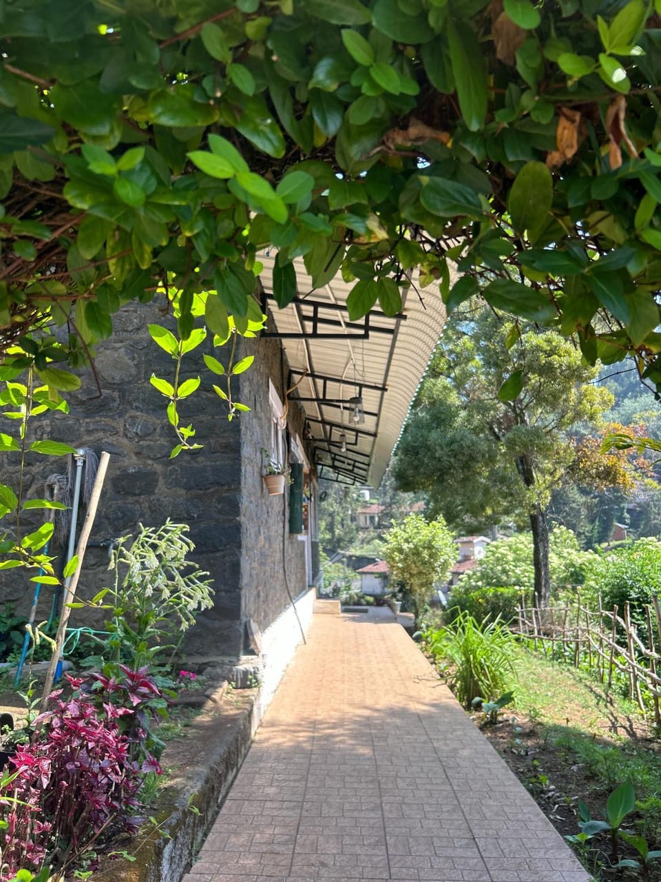 Natural landscape, Garden view