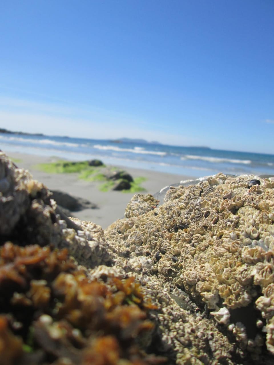Nearby landmark, Neighbourhood, Beach