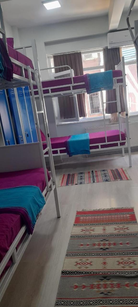 bunk bed