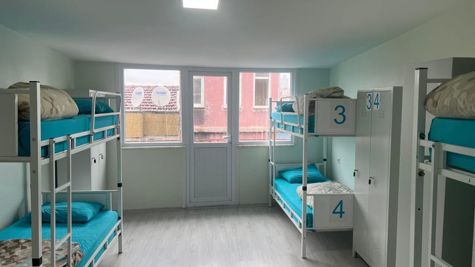 Bed, Photo of the whole room, Bedroom, bunk bed