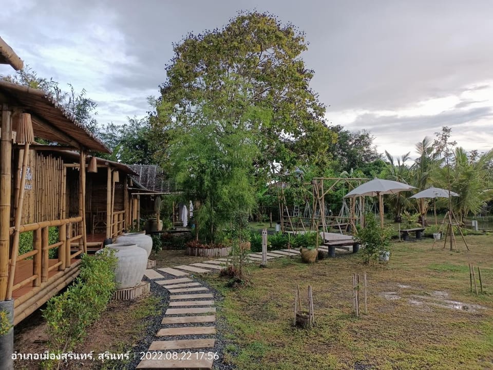 Natural landscape, Inner courtyard view