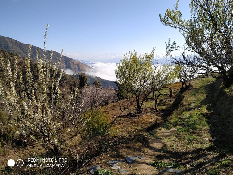Natural landscape