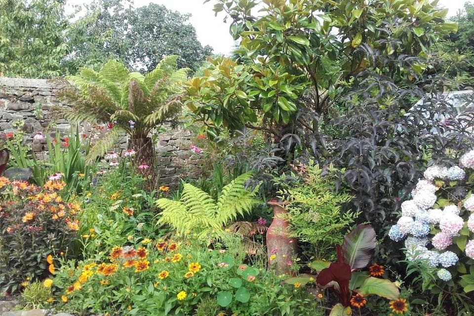 The Hermitage House in North Devon District