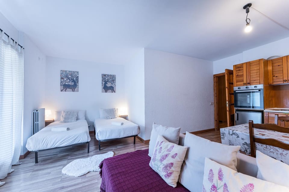 Barthe Holidays I Estudio rústico en El Tarter 2PAX I Luminoso, economico y con vistas a la X de Grandvalira I Querol Apartment in El Tarter