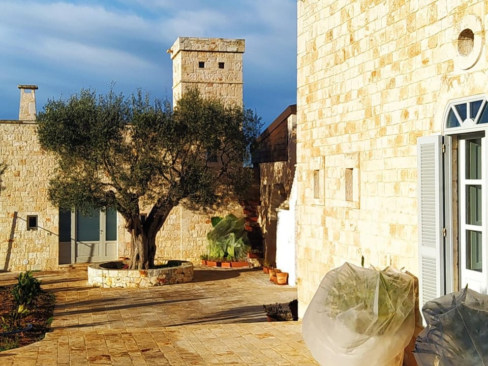 Property building, Patio
