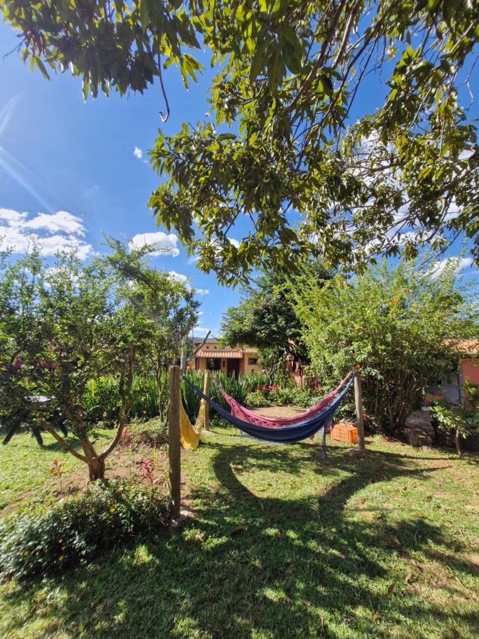 Garden, Garden view