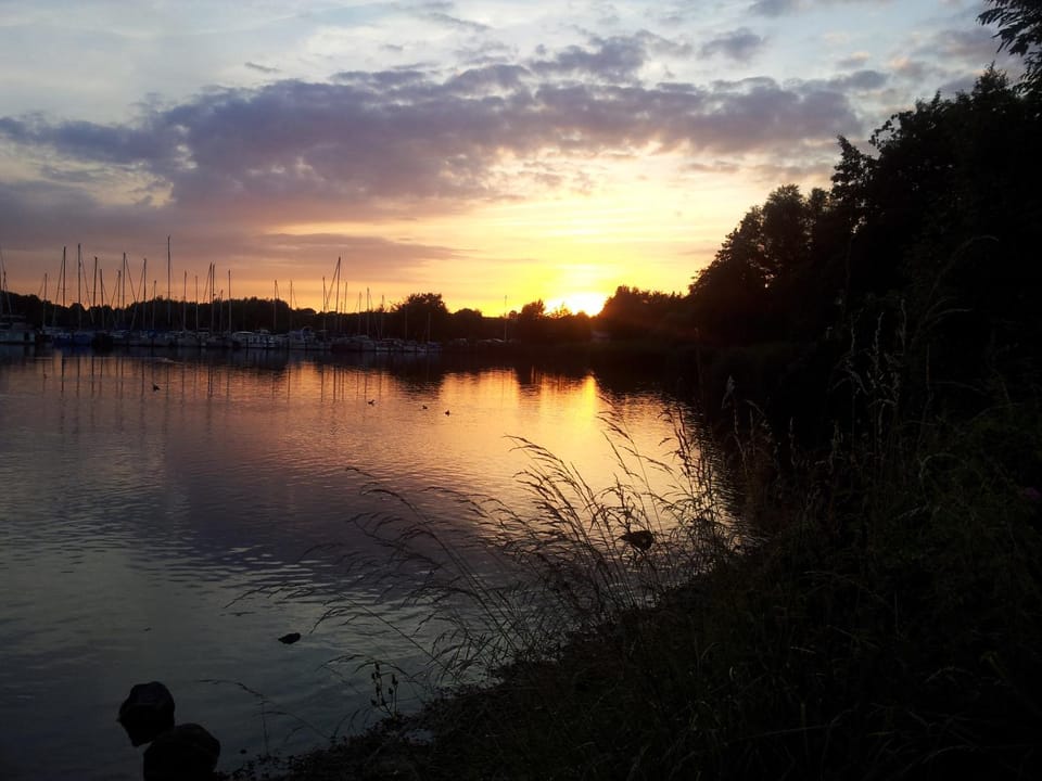Natural landscape