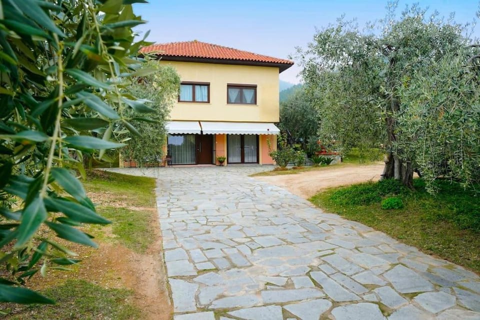 Olive's House House in Thasos