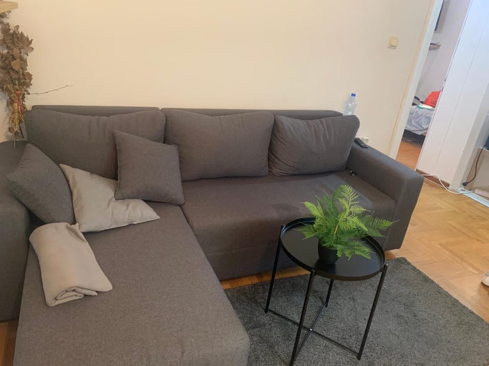 VILA MILETIĆ Apartment in Serbia