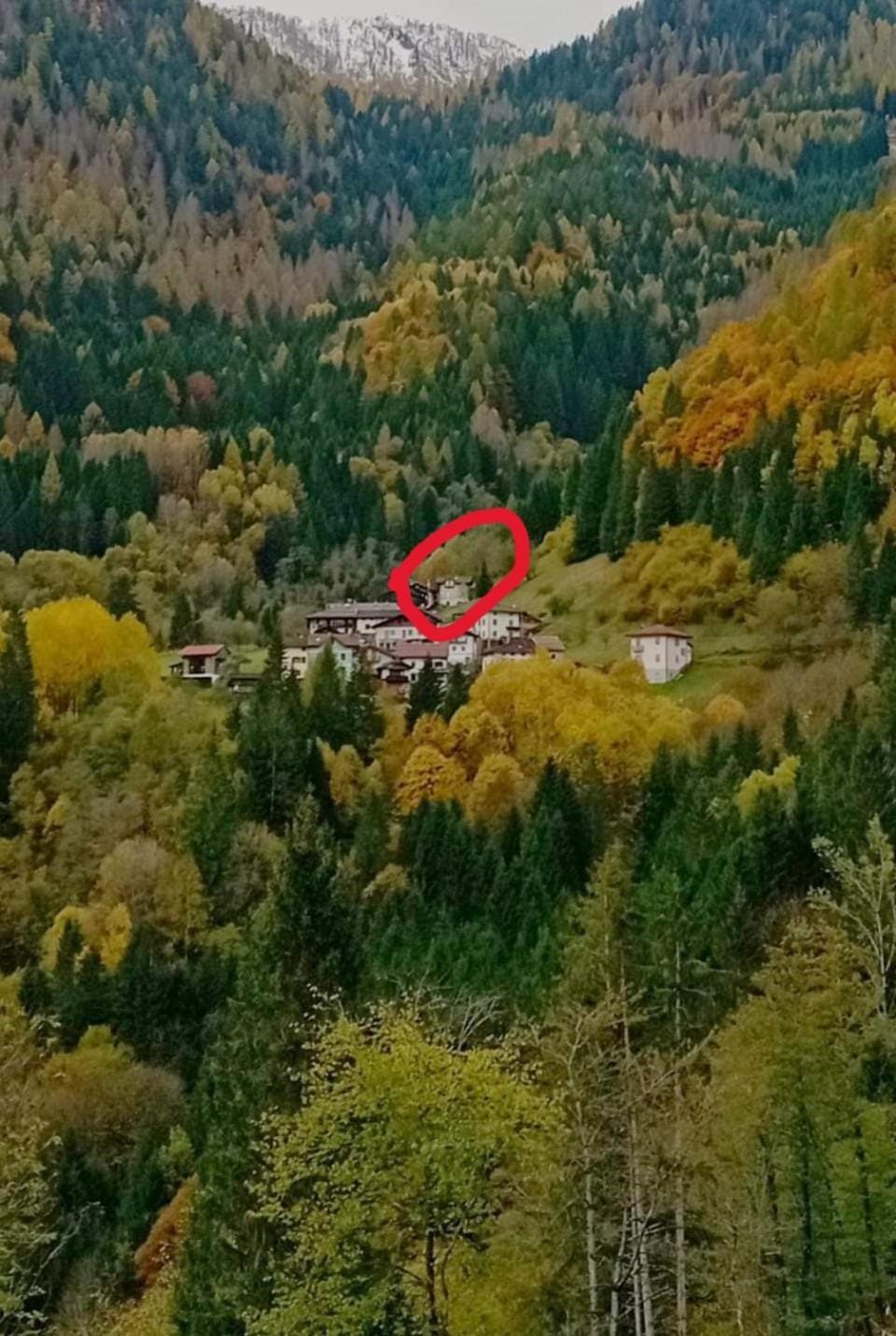 View (from property/room)