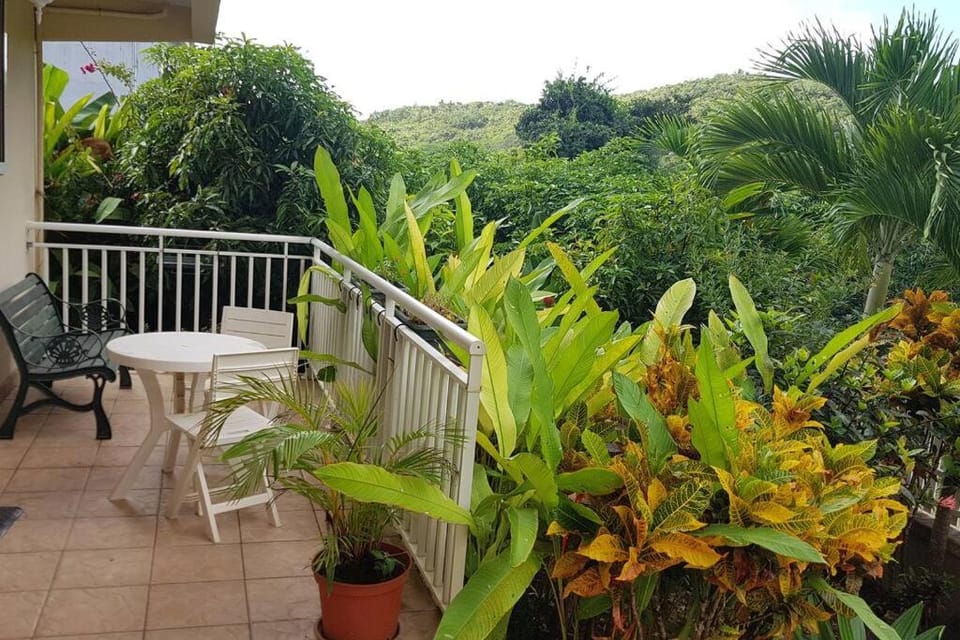 Balcony/Terrace, Garden view