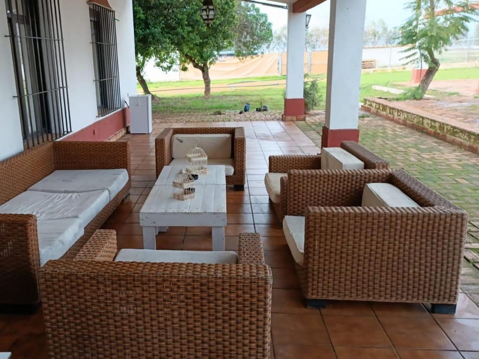 Seating area, Garden view