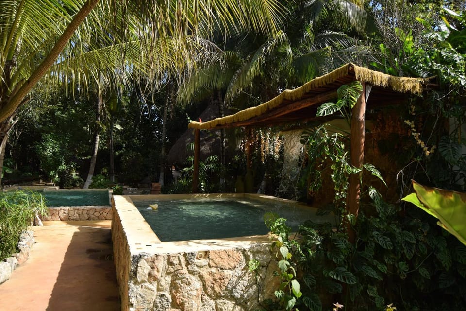 Garden, Swimming pool