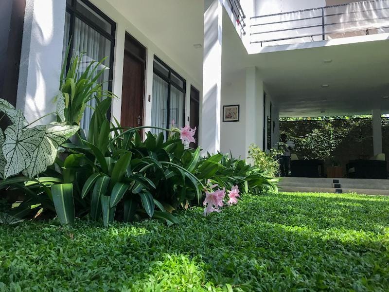 Garden view