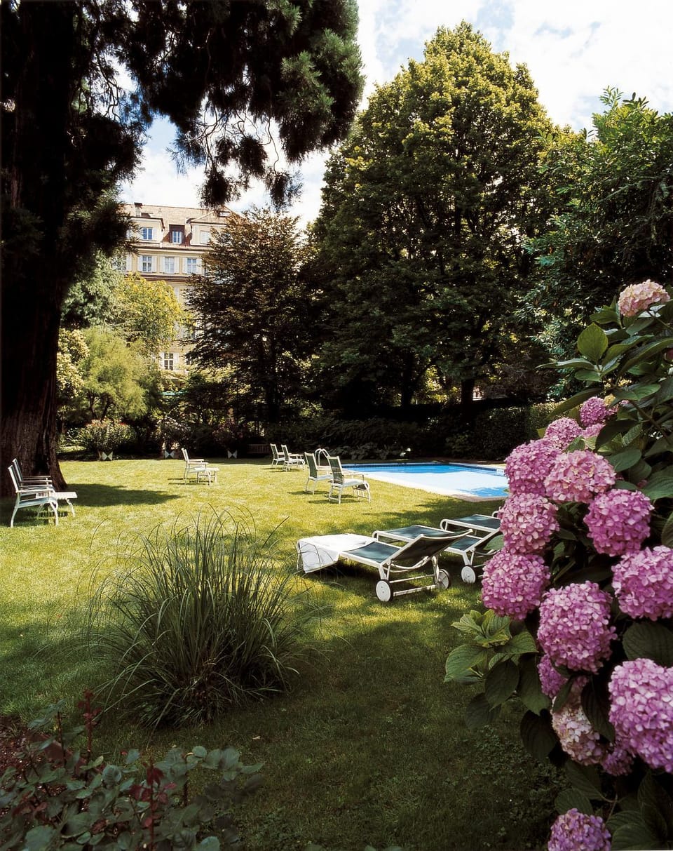 Garden, Swimming pool, sunbed
