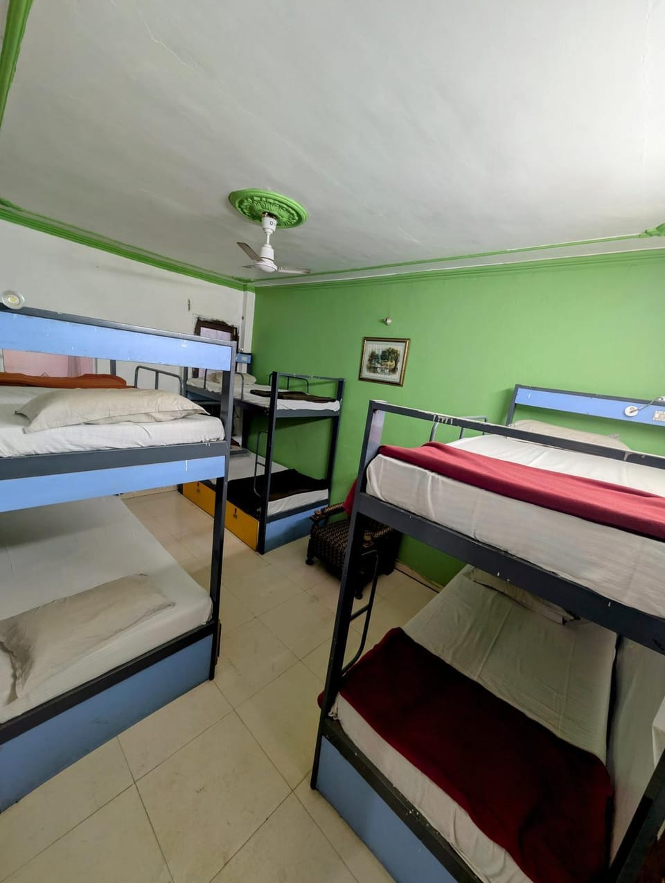Bed, Photo of the whole room, Bedroom, bunk bed
