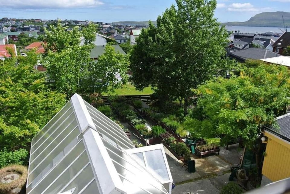 City view, Garden view
