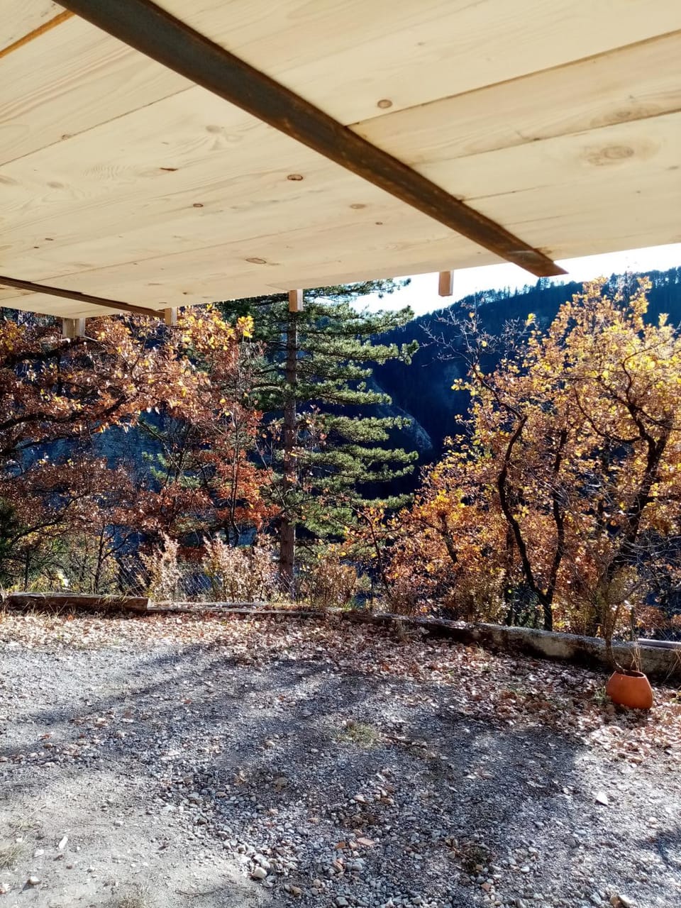View (from property/room)