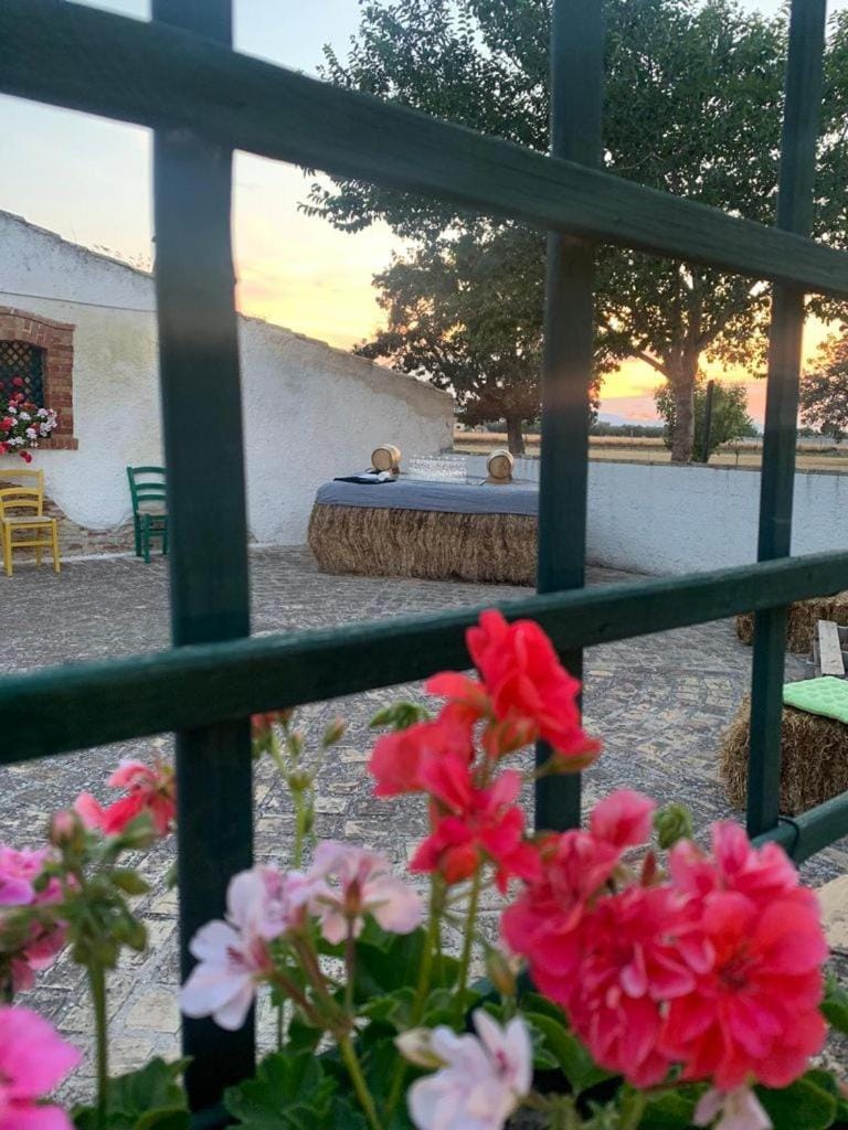 Bosco Didattico Mezzana Grande Bed and Breakfast in Province of Foggia
