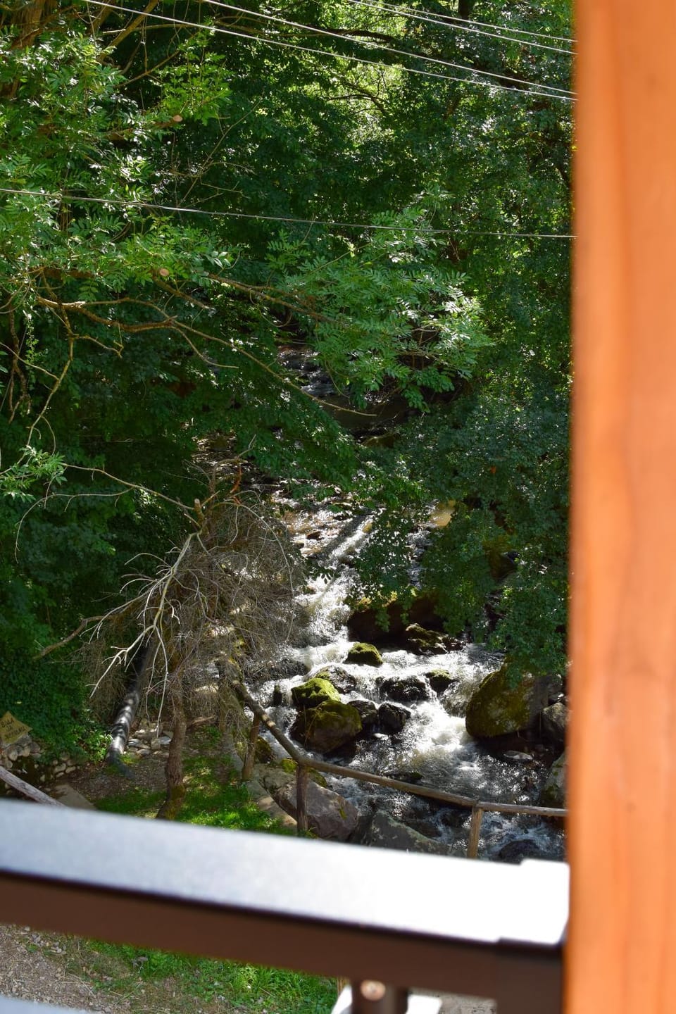 Natural landscape, River view