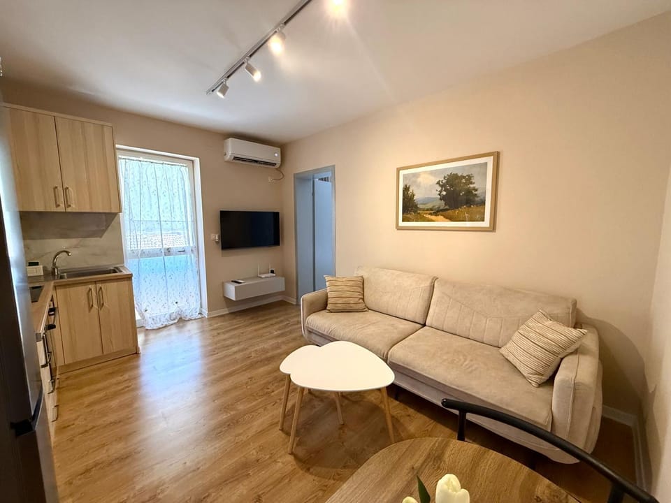 TV and multimedia, Living room, Seating area, Evening entertainment, air conditioner