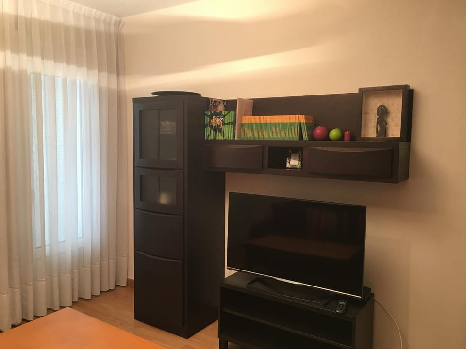 TV and multimedia