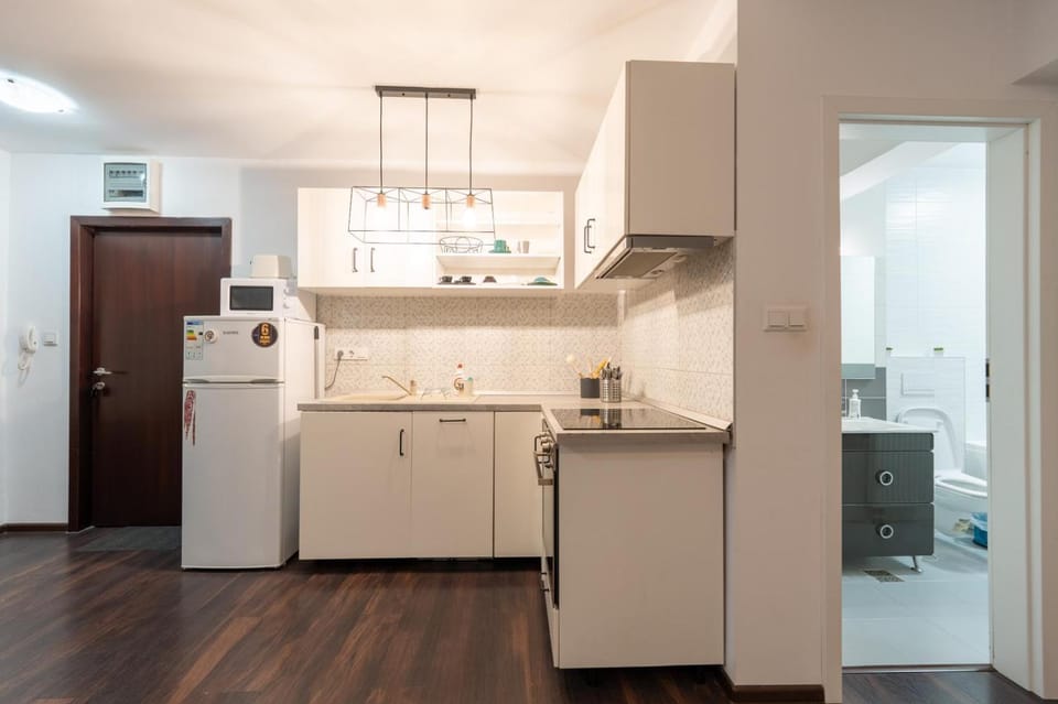 Studio Fortuna Park Apartment in Brașov County