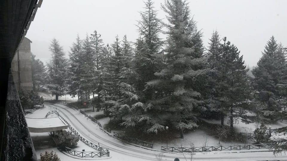 Winter, View (from property/room)