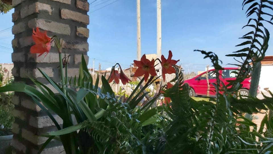 Garden, Garden view
