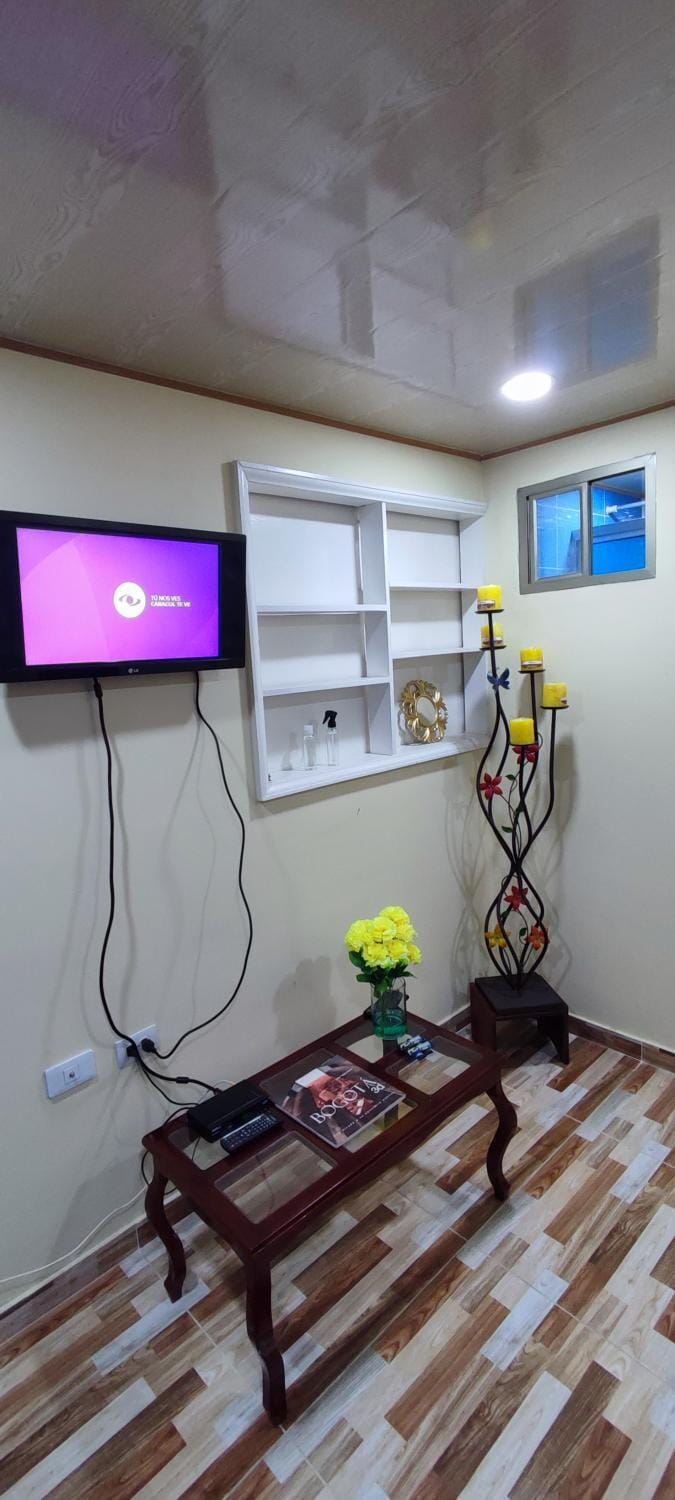 TV and multimedia