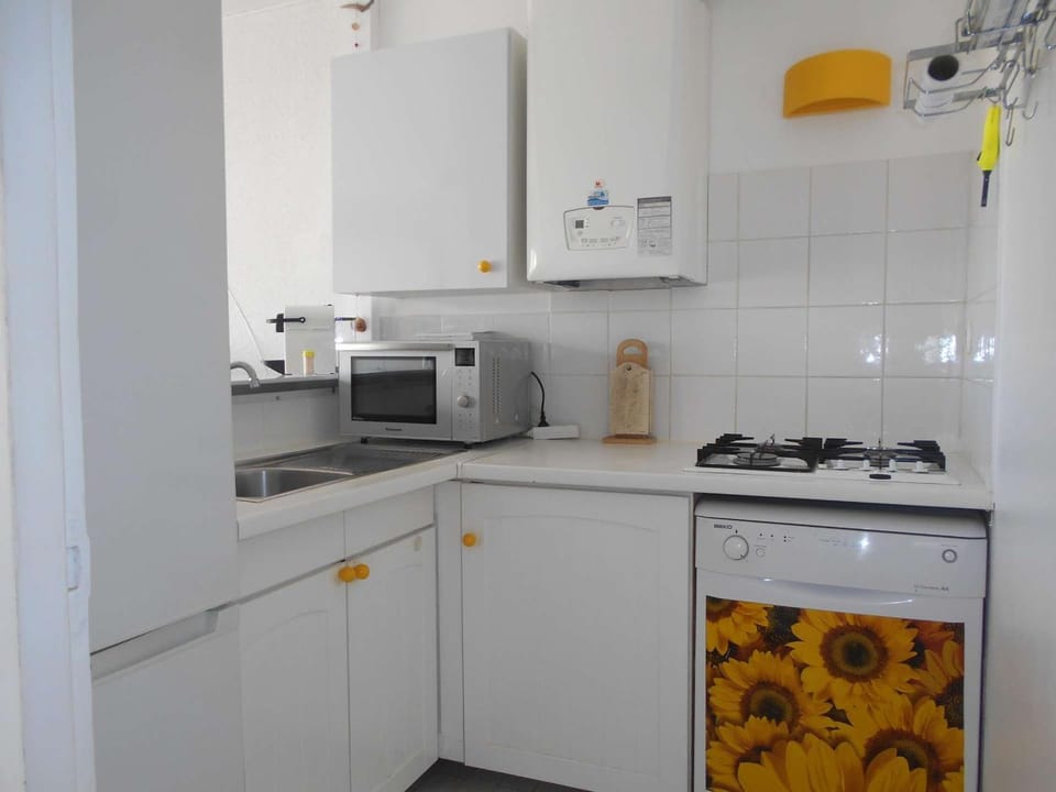 Marina Duplex 4 couchages, Terrasse et Solarium, Clim, Wifi, Parking, Port Camargue - FR-1-250-217 Apartment in Le Grau-du-Roi