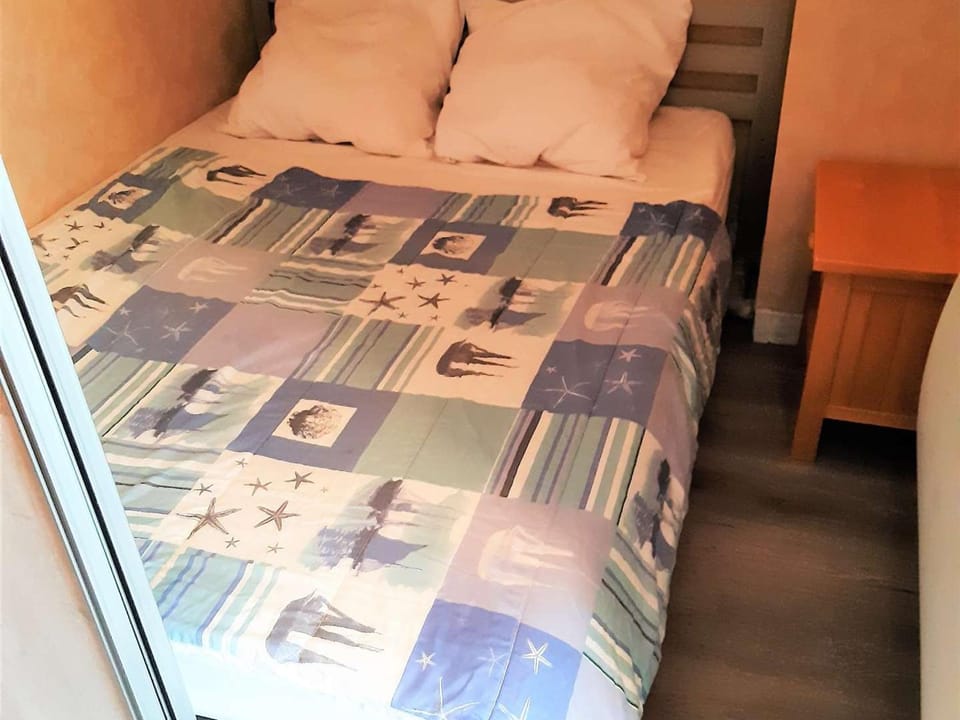 Studio Cabine 6 pers à 1700m, St Lary Soulan, Balcon Sud, Parking, Proche Pistes - FR-1-457-304 Cabin in Saint-Lary-Soulan