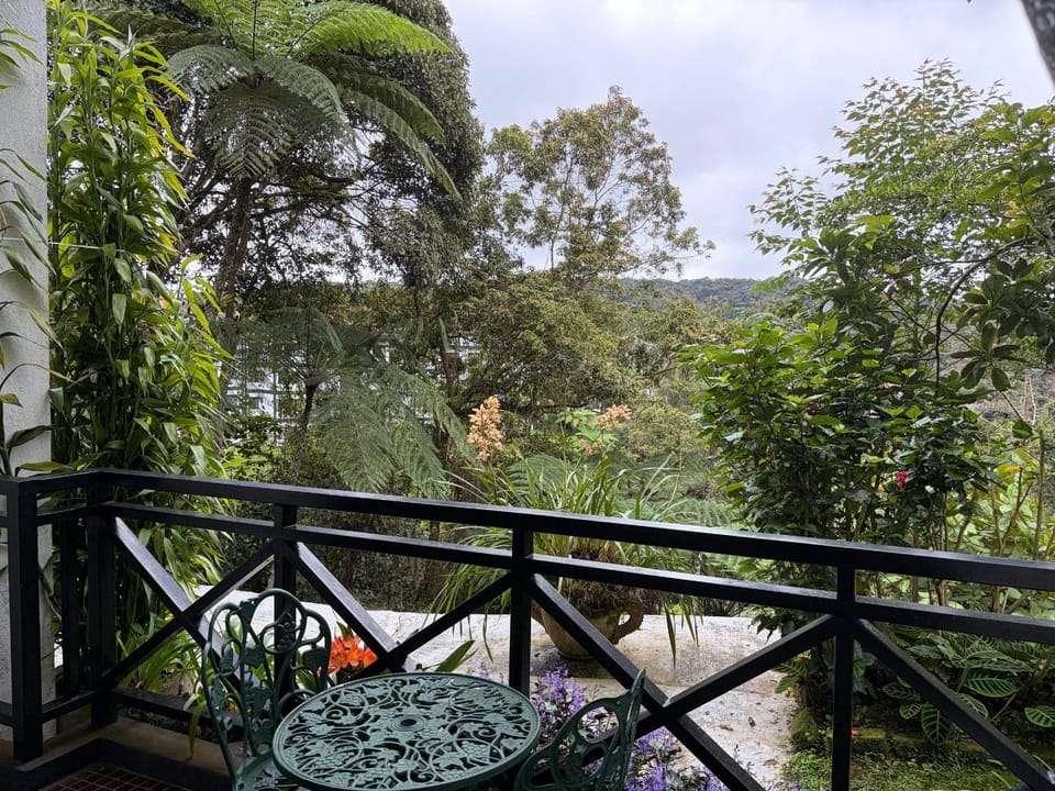 Natural landscape, View (from property/room), Balcony/Terrace, Garden view