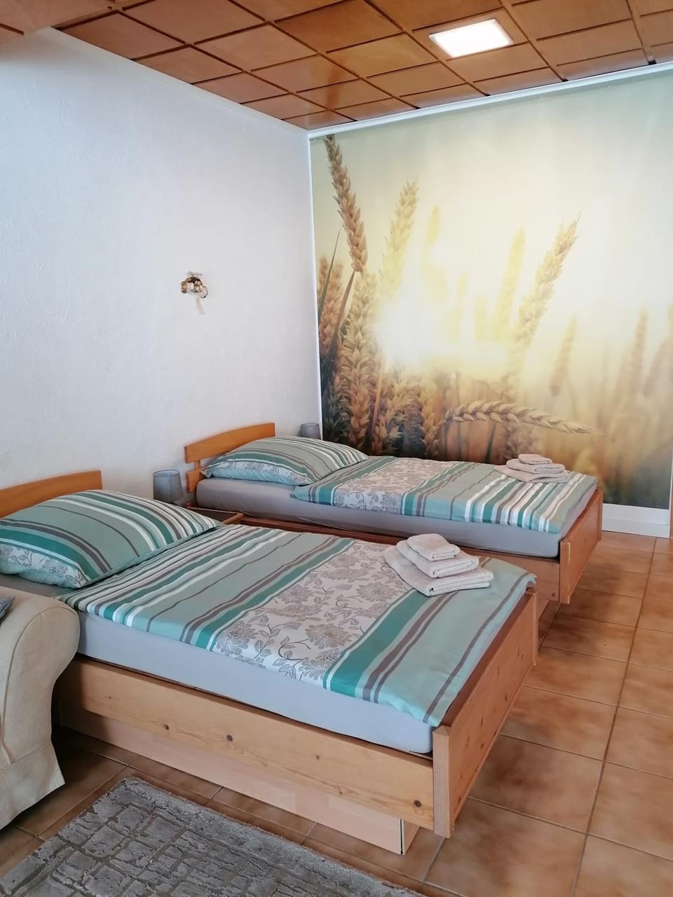 Bed