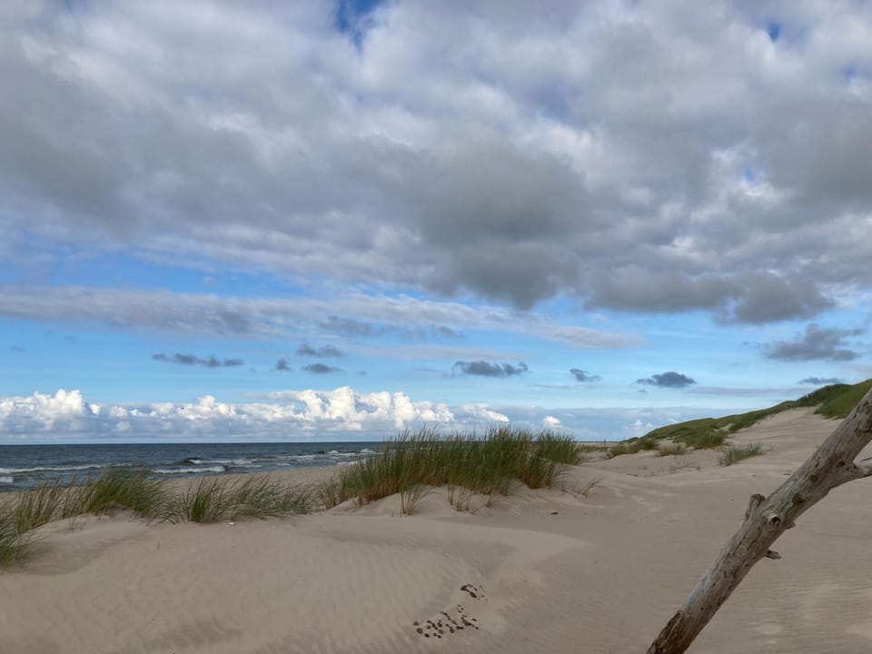 Apartament z Jaskółką parter Apartment in Pomeranian Voivodeship