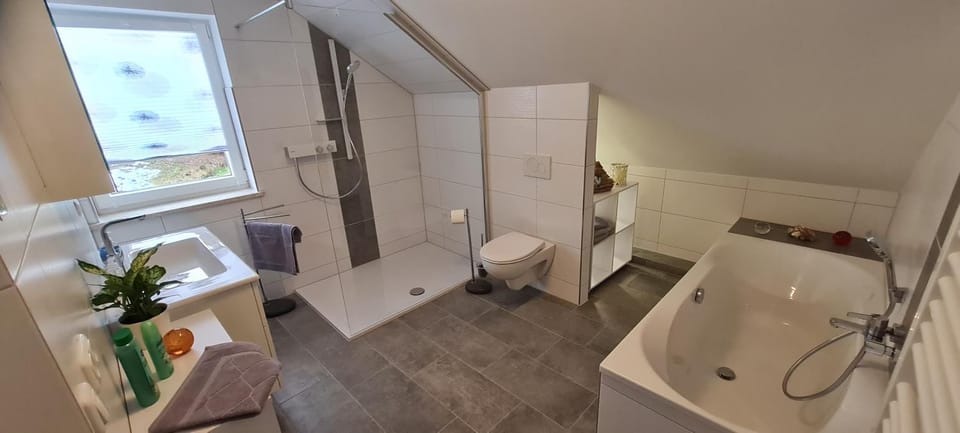 Shower, Toilet, Bathroom, Bath, towels