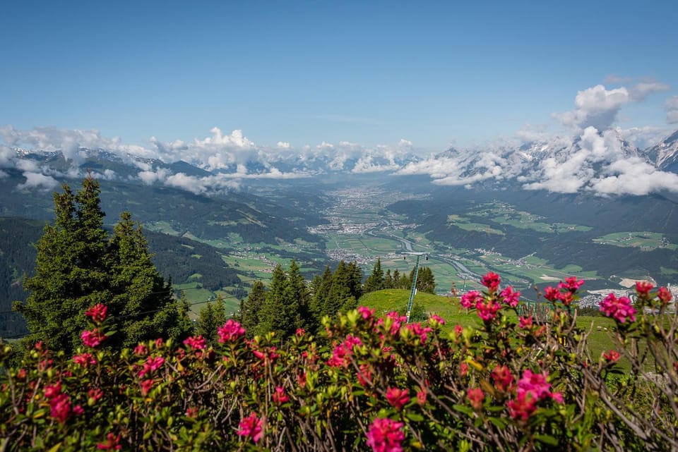 Natural landscape, Area and facilities