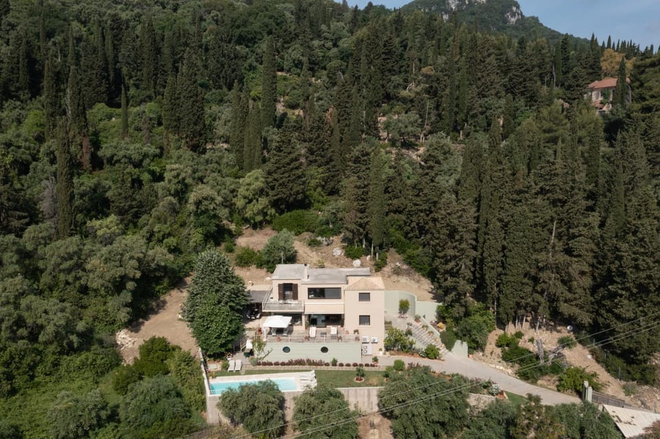 Property building, Bird's eye view