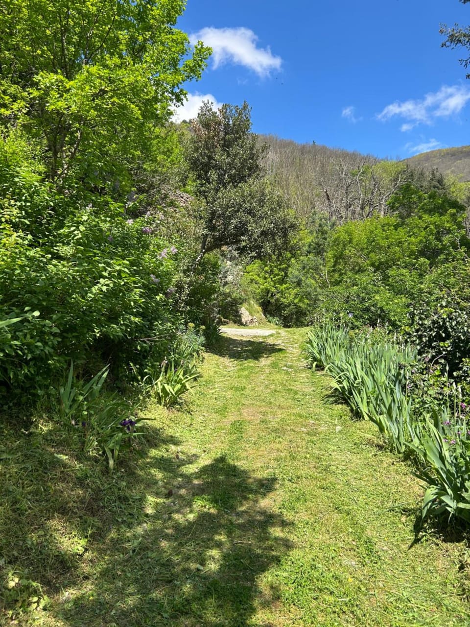 La Bergerie House in Occitanie