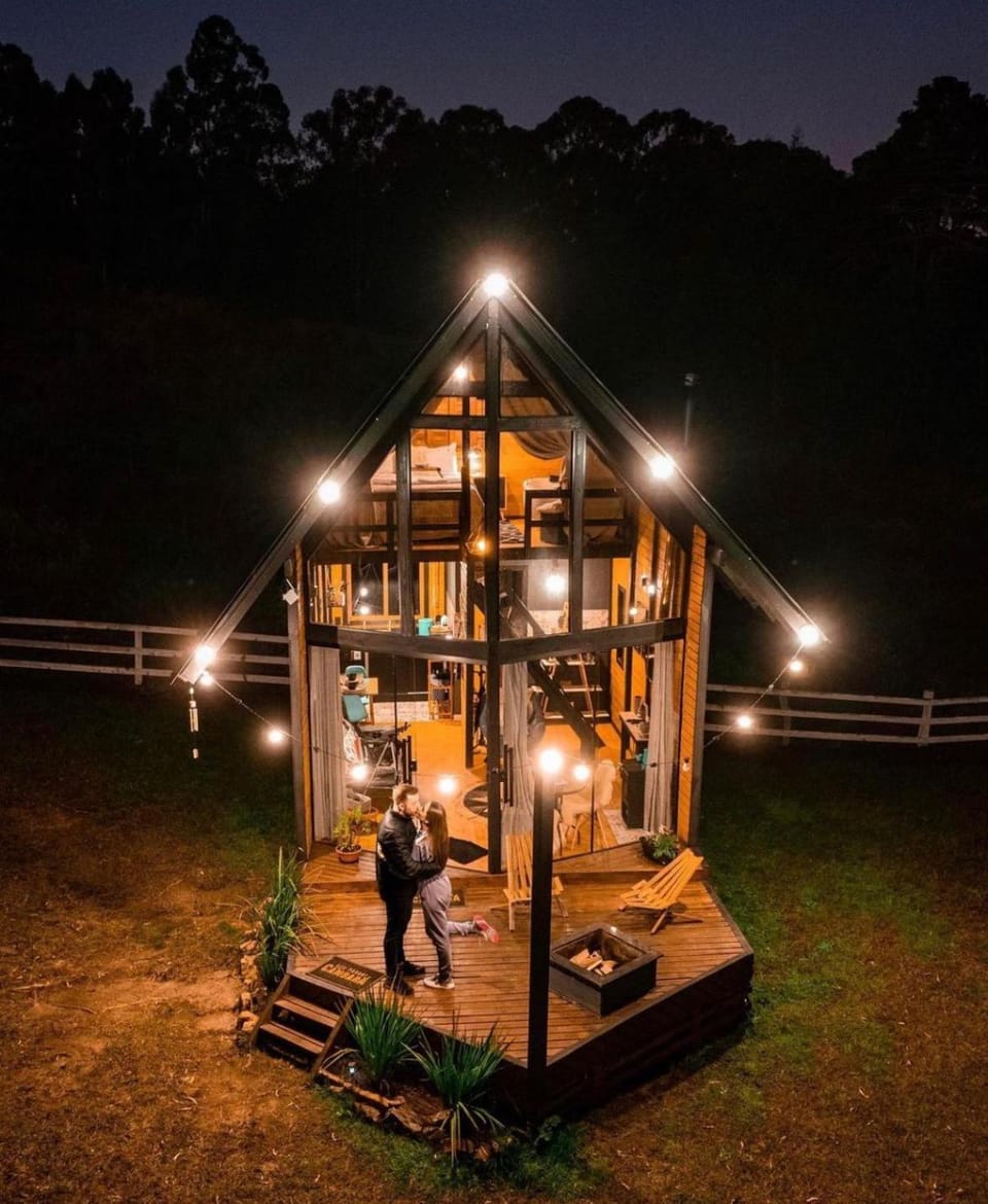 Night, People, Garden view, group of guests