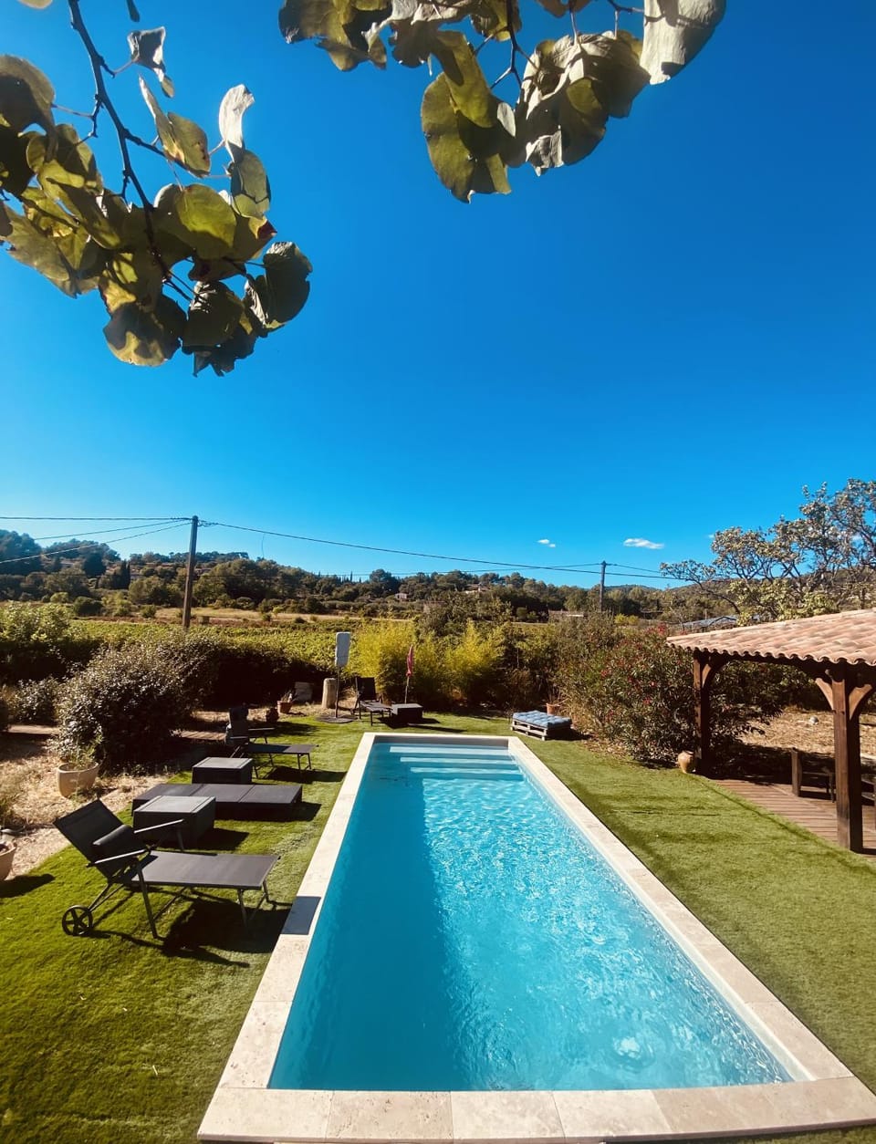 Garden, Pool view, Swimming pool, sunbed