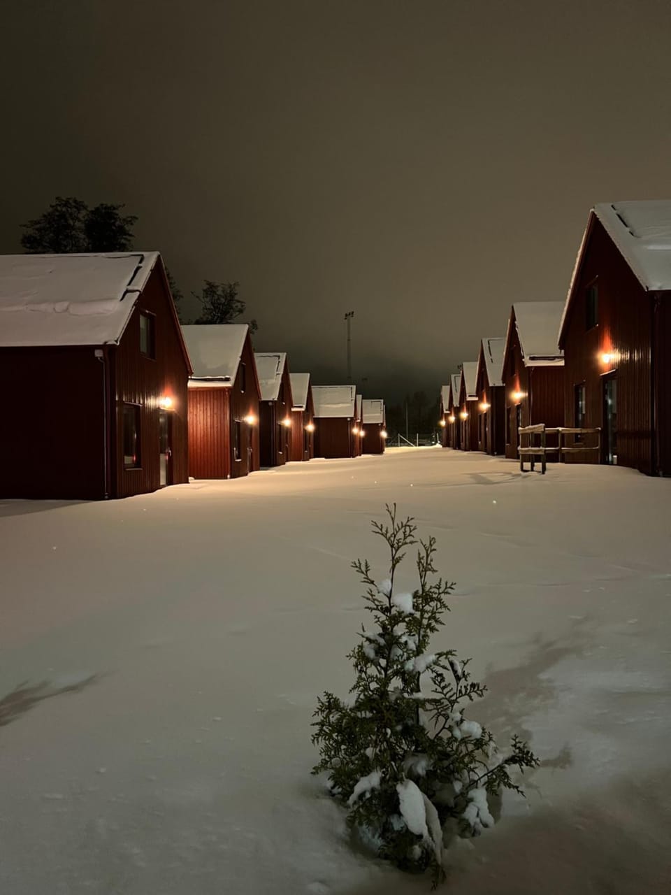 Property building, Winter