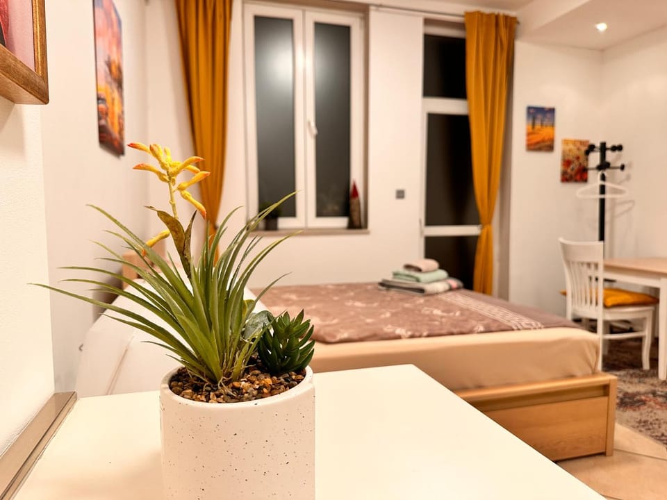 Private Studio Center Opera and Nevski Cathedral Apartment in Sofia