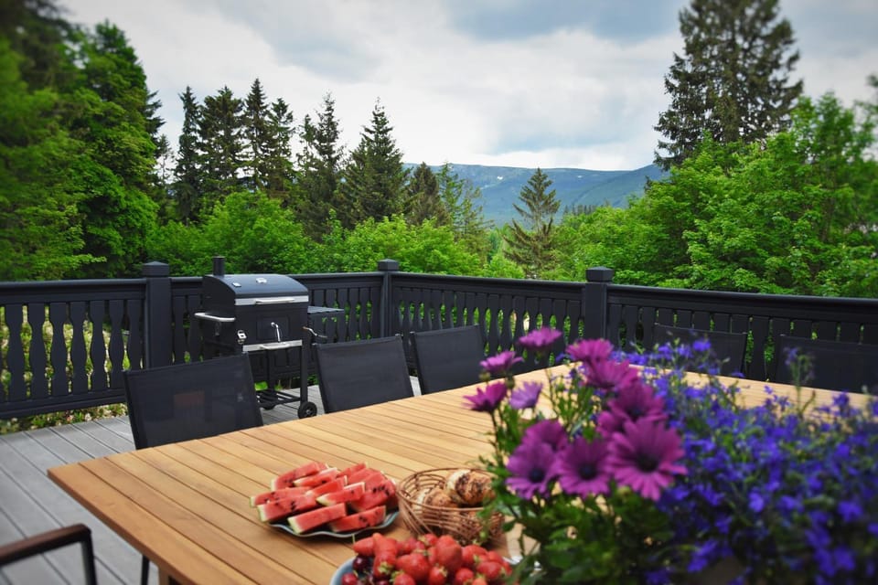 Natural landscape, BBQ facilities, Garden, View (from property/room), Balcony/Terrace